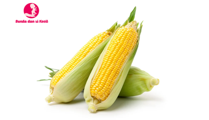 Cara Menyimpan Jagung Manis agar Tetap Segar dan Manis